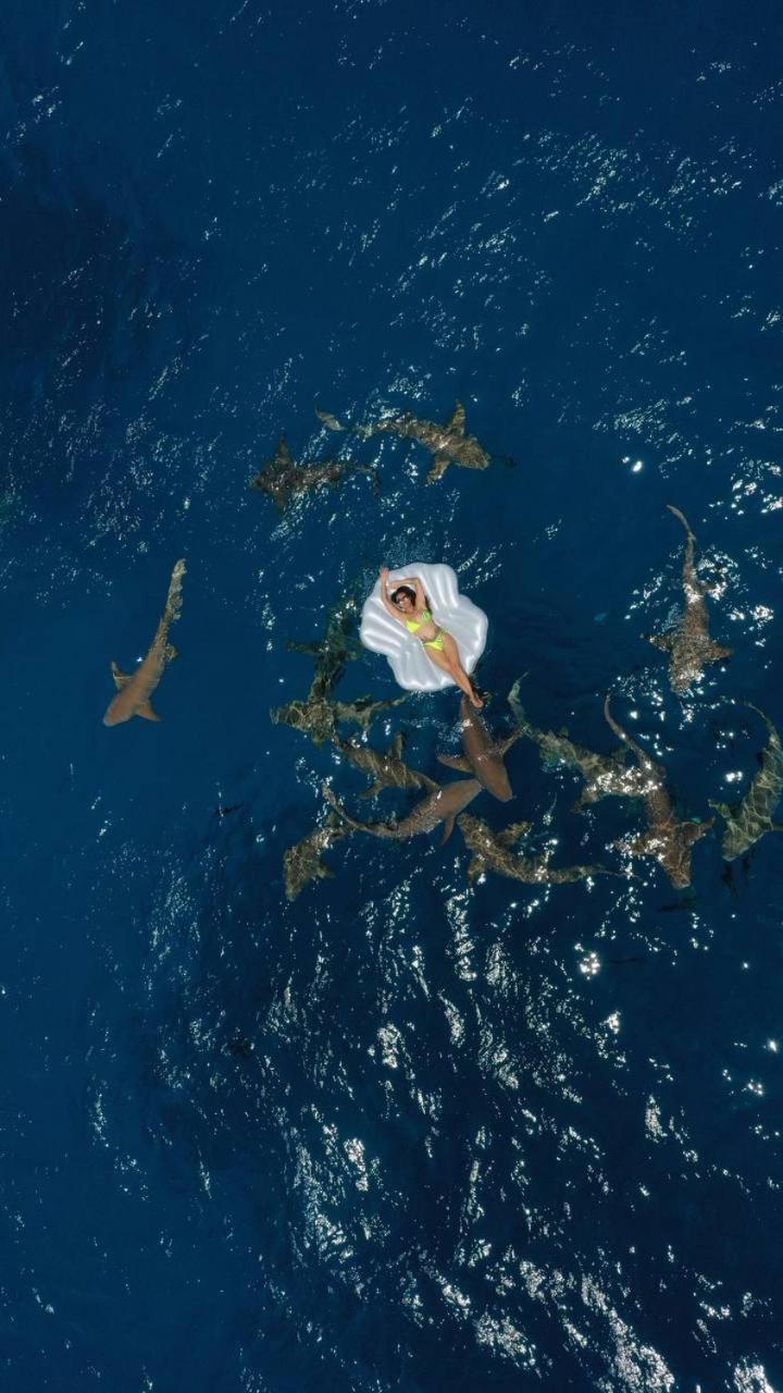 Athens View Hotel 古雷德胡 外观 照片